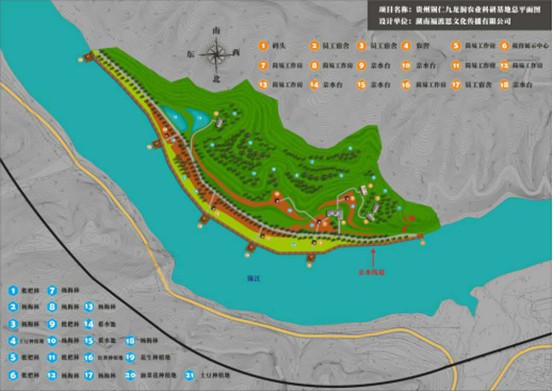 九龙洞生态农业